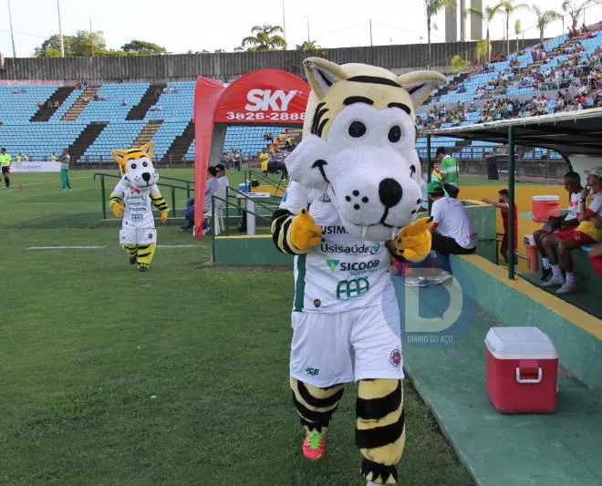 “Tigrinho com cara de tigrão”